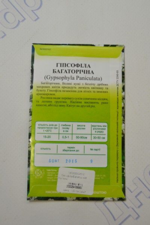 Гіпсофіла Багаторічна (ПН)