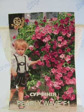 Сурфінія REARLE WAVE F1, великий пакет (Квітень)