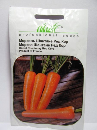 Шантане Ред Кор морква