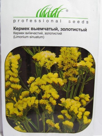 Кермек выемчатый, золотистый (ПН)