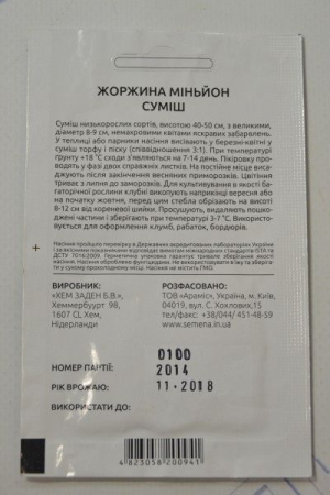 Жоржина помпон суміш (ПН)
