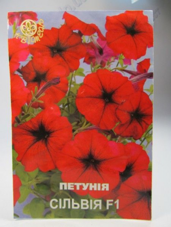 Петунія Сільвія F1, великий пакет (Квітень)