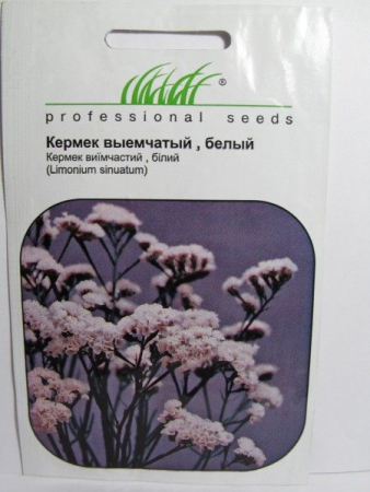 Кермек выемчатый, белый (ПН)