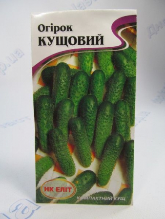 Кустовой огірок F1 (НК)