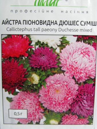 Айстра піоновидна Дюшес суміш (ПН)