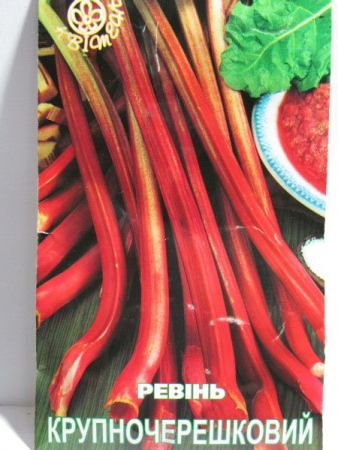 Ревінь крупночерешковий (Квітень)