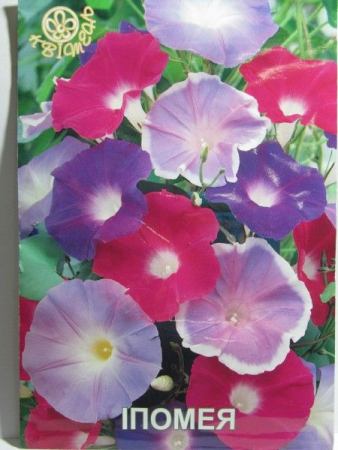 Іпомея, великий пакет (Квітень)