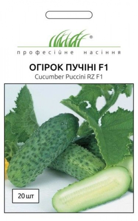 Пучіні огірок F1 (ПН)