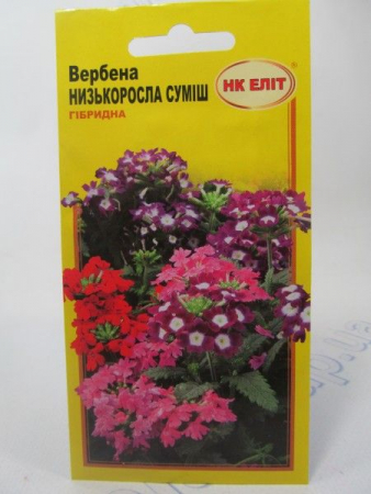 Вербена низкорослая смесь (НКЄлит)