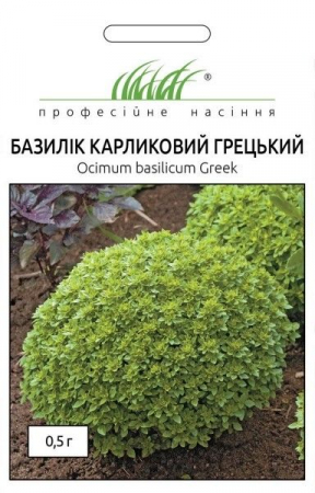 Базилік карликовий Грецький (ПН)