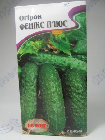Фенікс Плюс огірок  (НК)