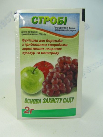 Строби 2г фунгицид
