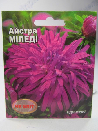 Міледі айстра 3г (НК Єліт)