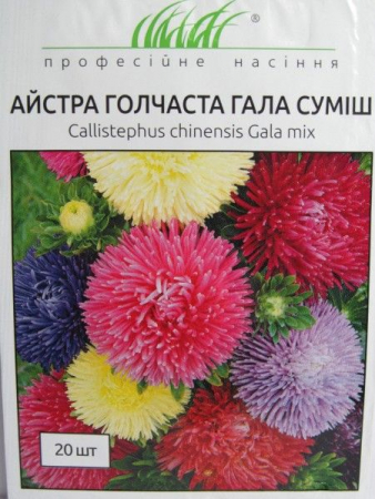 Айстра голчаста Гала суміш (ПН)