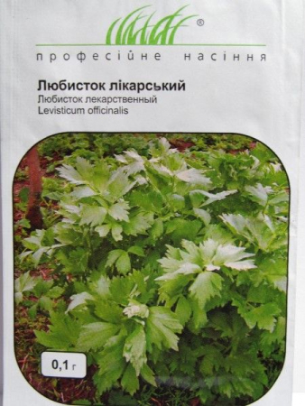 Любисток лікарський (ПН)