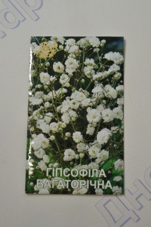 Гіпсофіла Багаторічна (ПН)