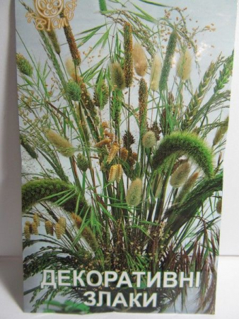 Декоративні злаки (Квітень)