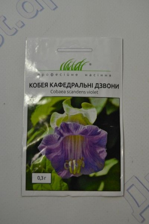 Кобея (ПН)
