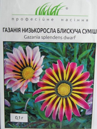 Газанія низькоросла блискуча суміш (ПН)