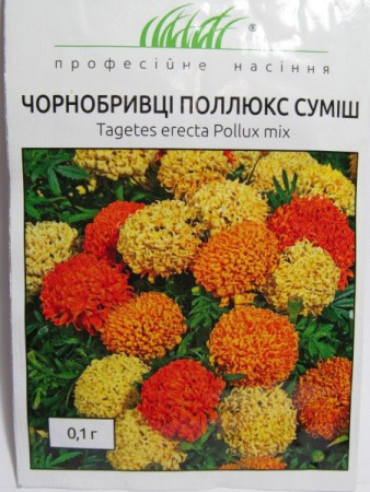 Чорнобривці Поллюкс суміш (ПН)