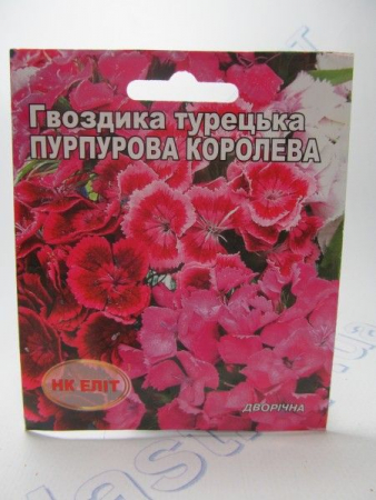 Пурпурова королева гвоздика турецька (НК ЄЛИТ)