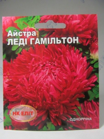 Леді Гімільтон айстра 3г (НК Єліт)