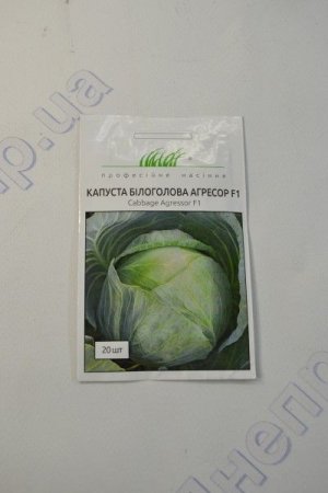 Агресор капуста білоголова F1(ПН)
