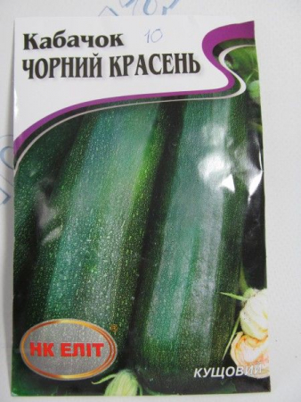 Чорний красень кабачок великий пакет 20г (НК Єліт)