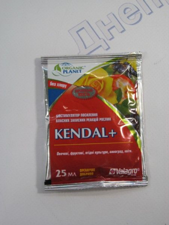Кендал+ 25мл